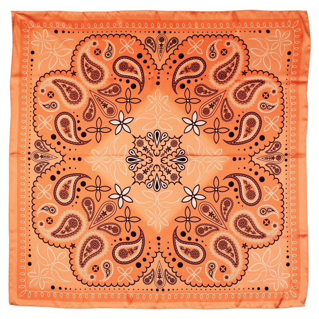 CATCHFLY WILD RAG SOUTHWESTERN PAISLEY PINK