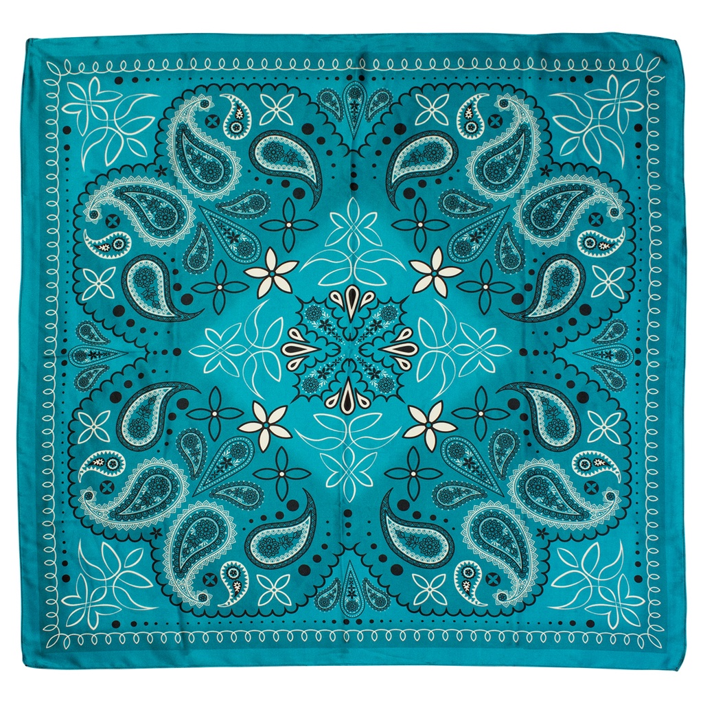 CATCHFLY WILD RAG SOUTHWESTERN PAISLEY TURQUOISE