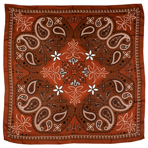 CATCHFLY WILD RAG SOUTHWESTERN PAISLEY BROWN